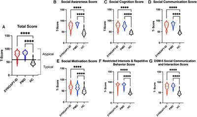 Social behavioral impairments in SYNGAP1-related intellectual disability